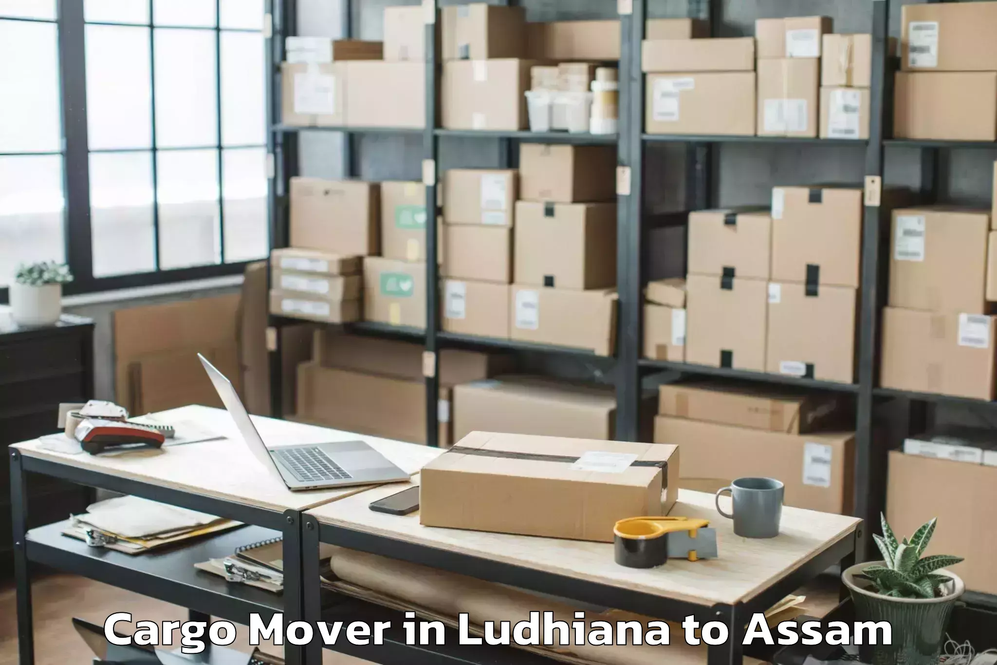 Easy Ludhiana to Silapathar Cargo Mover Booking